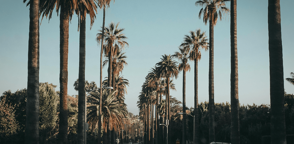 pexels-vincent-gerbouin-445991-2263669-min